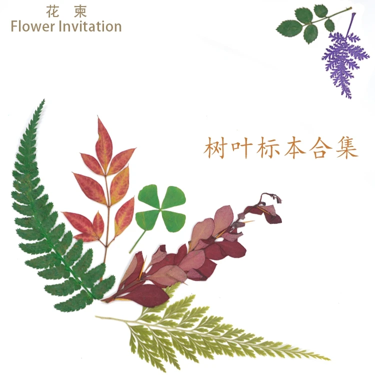 

Flower Invitation the collection of hand plant pressed flower