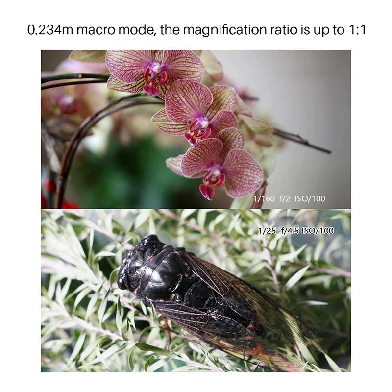 Светодиодная лампа для видеосъемки YONGNUO YN60mm макро объектив 0 234 м 1:1 F2