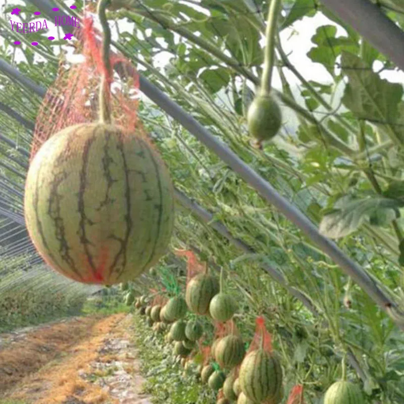 

45 cm horticultural net plastic mesh bag fruit mesh bags gardening net food packaging net 100pcs