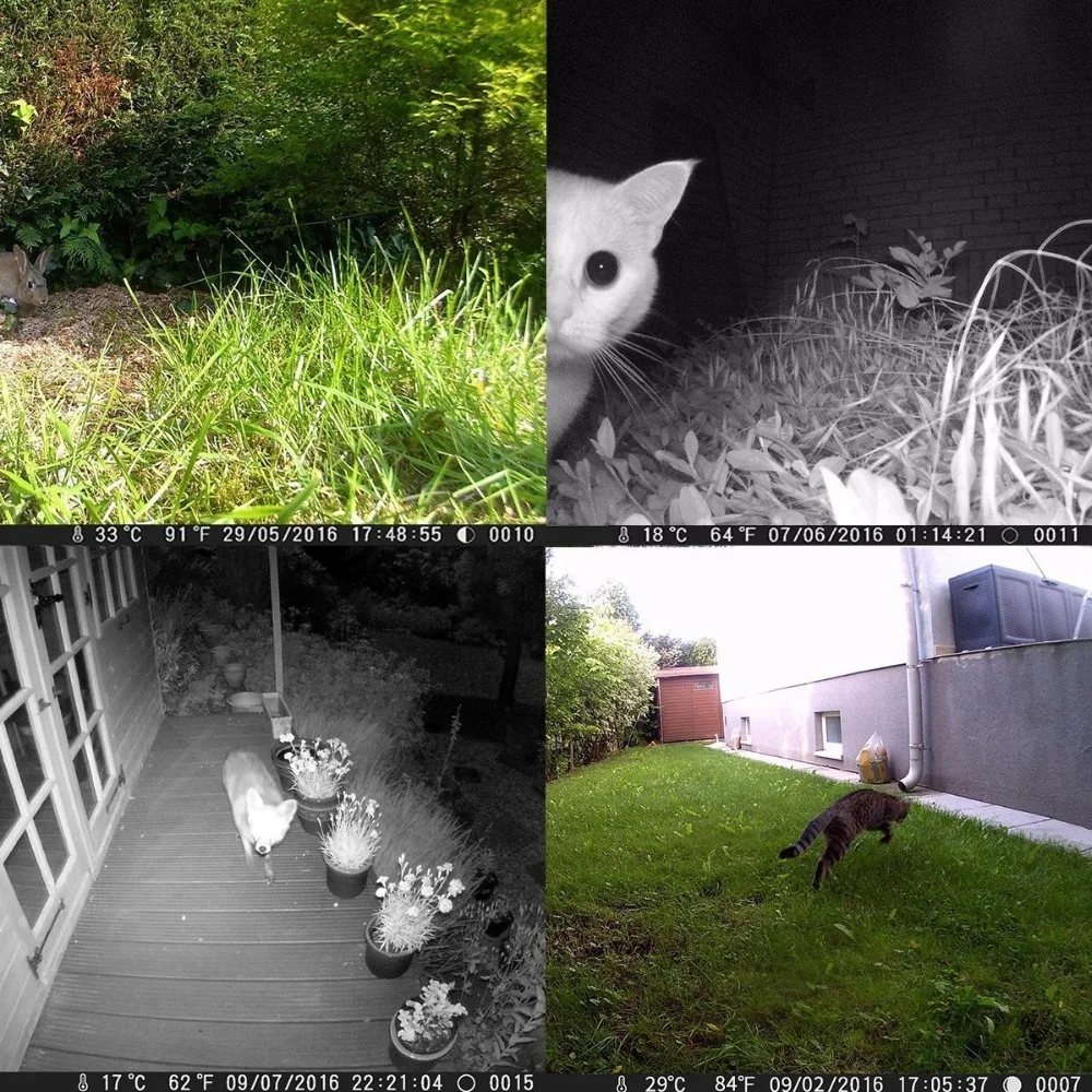16MP Night vision 2.4LCD Hunting Wild Camera H881 Photo Trap 1080P IP56 Waterproof Infrared Trail camera 3 1