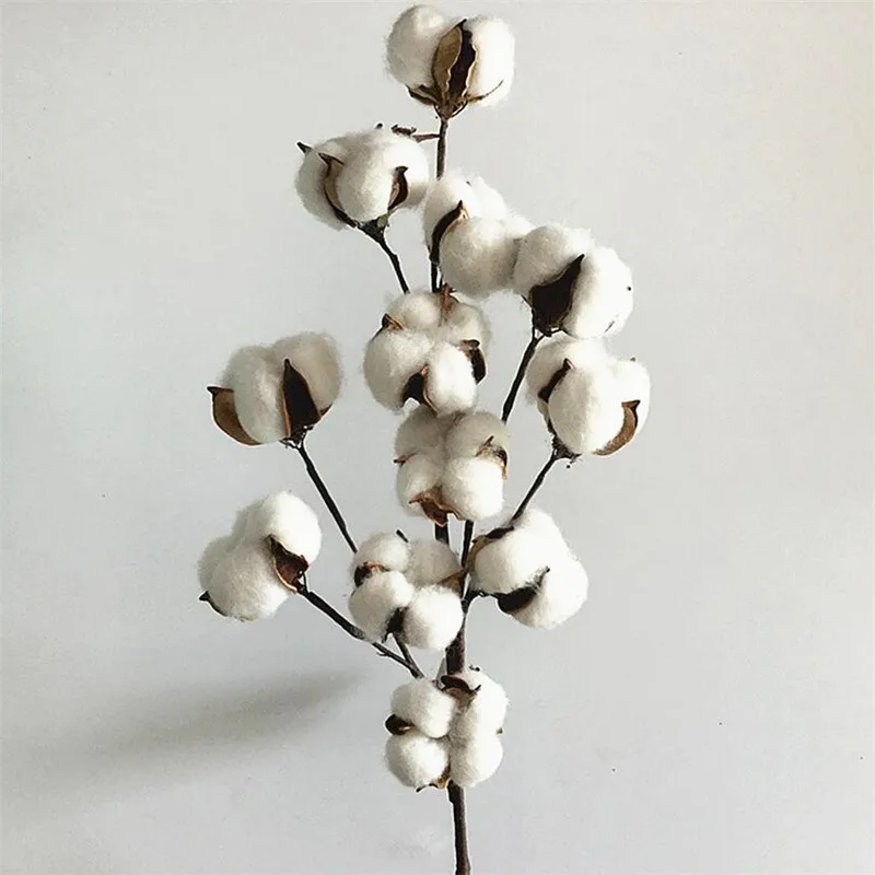 

Flone Dried Flower Cotton Branch 12 Head Cotton Long Branch Simulation Cotton Tree Branch Home Wedding Decor Artificial Flowers