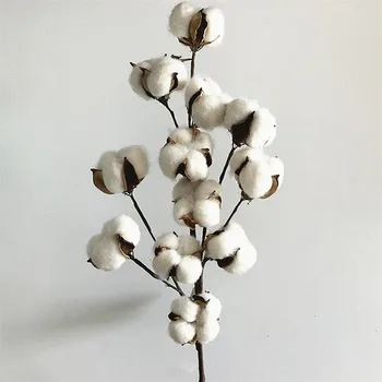 

Flone Dried Flower Cotton Branch 12 Head Cotton Long Branch Simulation Cotton Tree Branch Home Wedding Decor Artificial Flowers