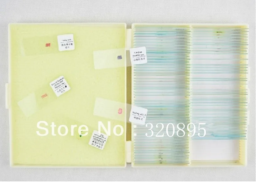 

New Professional 91 PCS Prepared Basic Biology Slides Prepared Microscope Slides in Box for Study ad Rearch