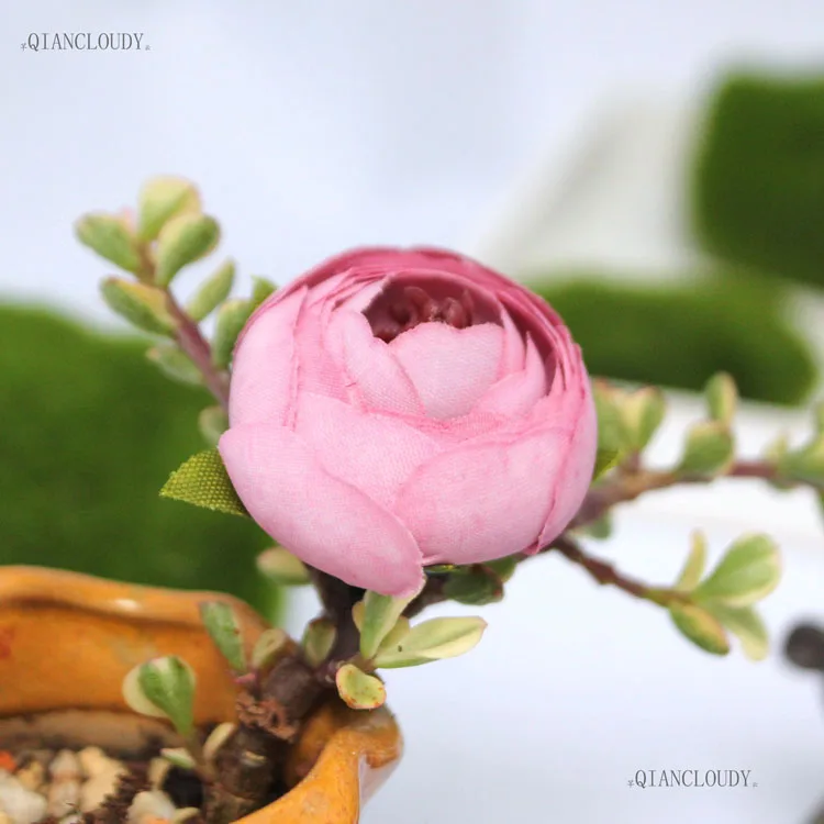 IMG_8172
