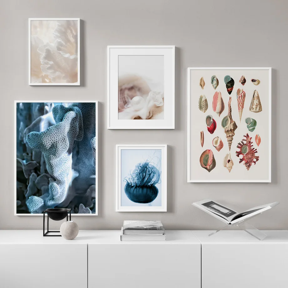 

Home Decor Painting Canvas Pictures Wall Art HD Conch Coral Pearl Jellyfish Marine Life Prints Nordic Poster Modular Living Room