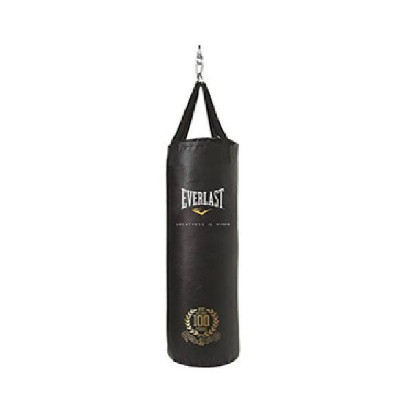 Empty everlast punching bag Clearance