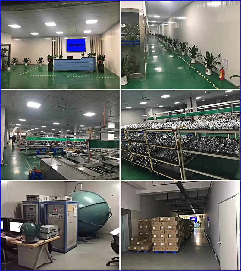 company introduction