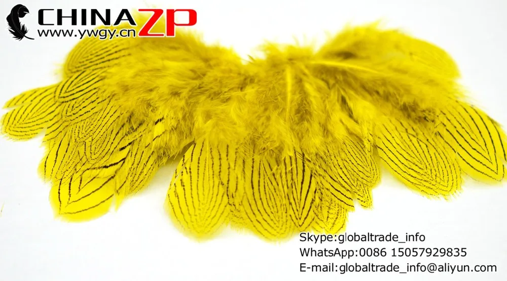 silver pheasant feathers dyed yellow (1)