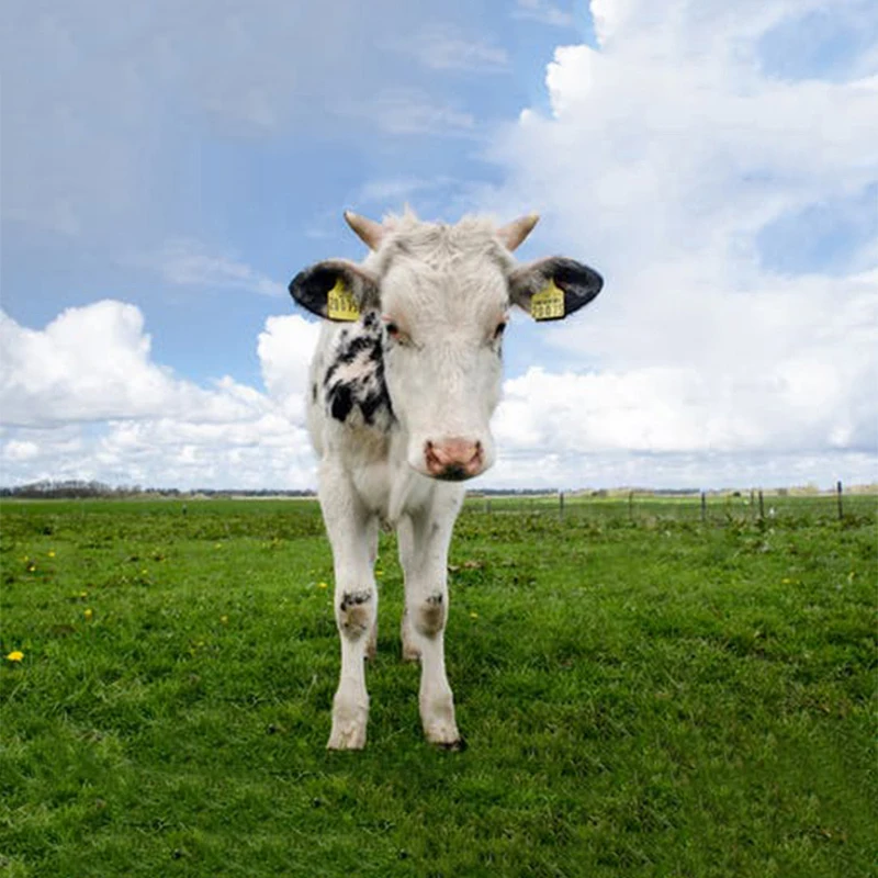 seguranca protecao 05