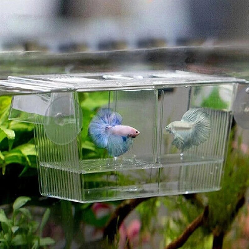 New Version Fish Breeding Isolation Box Fish Tank Aquarium Breeder