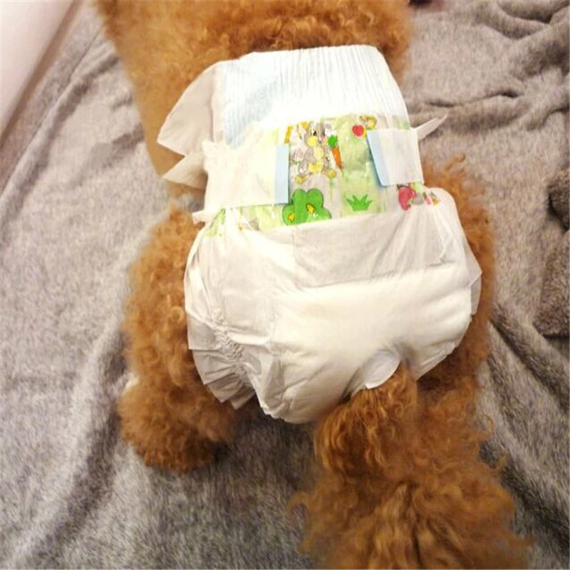 5pcs/ lot Super Absorbent Sanitary Physiological Pants Disposable