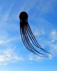 Best Price as low as $154.44 free shipping high quality 15m Black Paul soft octopus kite easy control with handle line kite fabric ripstop kids kites factory