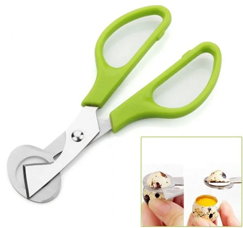 Quail eggs scissors2