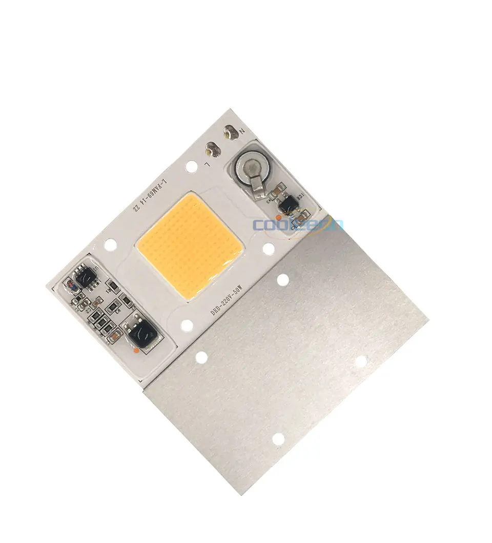 Full Spectrum COB LED Lamp 50W 95% RA 220V AC COB Chip Smart IC for Plant Frow Lights Floodlight Lighting Source Warm Cold White (2)