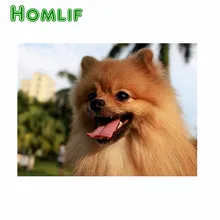 Роза 5D DIY алмазная живопись на заказ полный квадратный шпиц значок с вышивкой в виде ромба pintura manualidades Алмазная мозаика значок