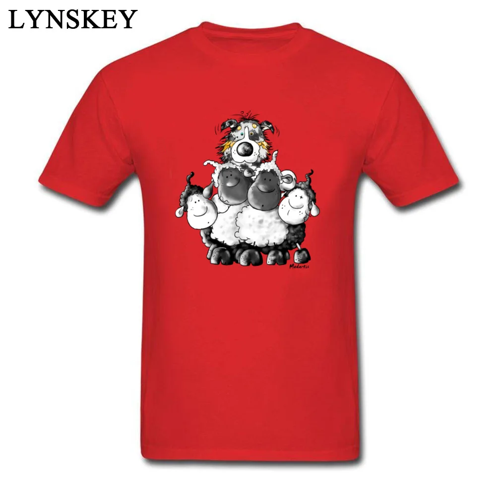 Australian Shepherd and sheep - Dog_red