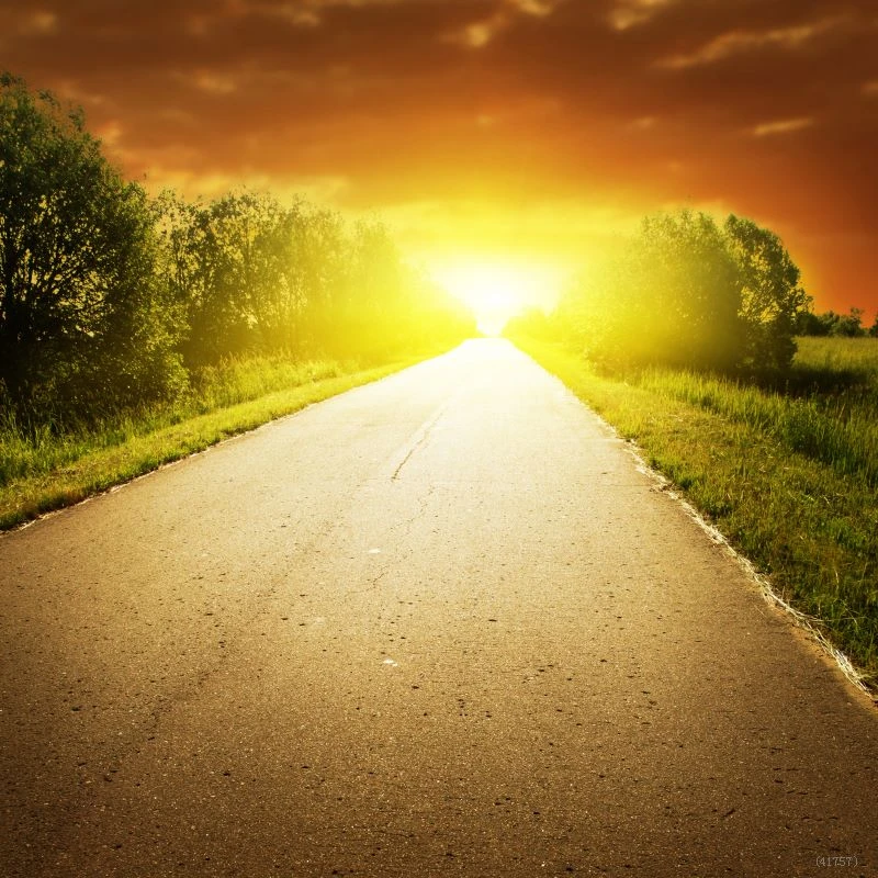 10x10ft Cheap Bright Road Vinyl Photography Backdrops Background Top Quality Gallery Studio Pictorial Decor 3 W X3 H M X3 Lcd X3 Mobilex3 Pink Aliexpress
