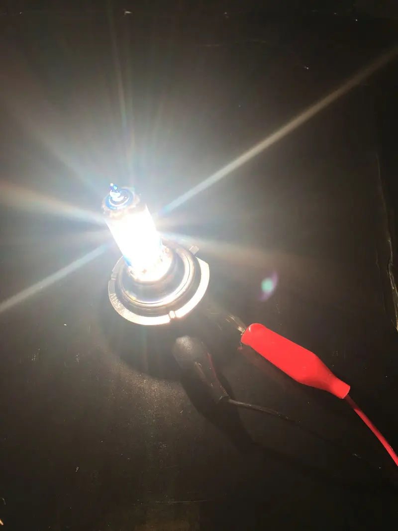 H7 halogen bulbs (1)