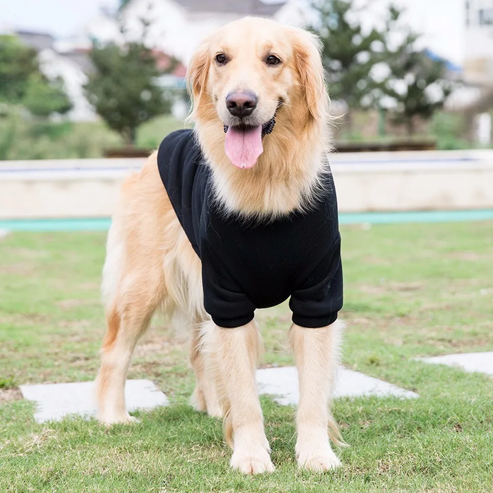 Pets Dog Golden Retriever Will Dog Clothes The Hoodie. Medium sized Dog