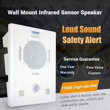 

Cellphone Bluetooth Wireless Voice Replacement Motion Sensor Loudspeaker Wall Mount High Power MP3 Audio Announcement Speaker