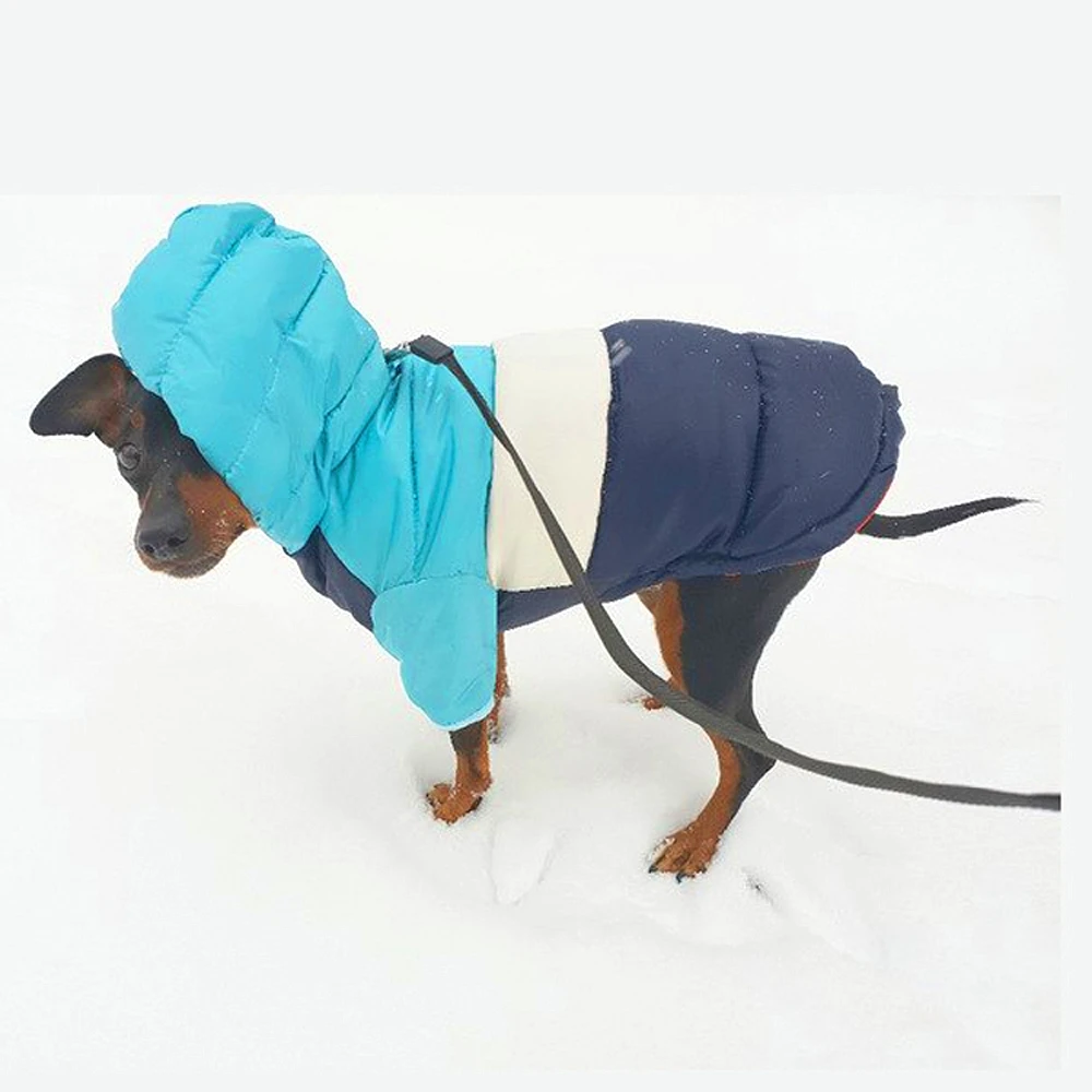 Зимняя одежда для домашних животных для собак, чихуахуа, теплая водонепроницаемая одежда для собак, куртки для собак, пуховик для щенков, Маленький Средний для собачек-Мопсов
