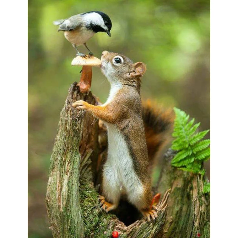 Full Square 5D Diy Diamond Painting Cross Stitch Squirrel 3D Embroidery Rhinestone Mosaic Decor Paintings Gift WG958 |