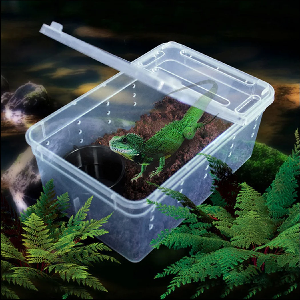 Transparent Plastic Box Insect Reptile Transport Breeding Live Food