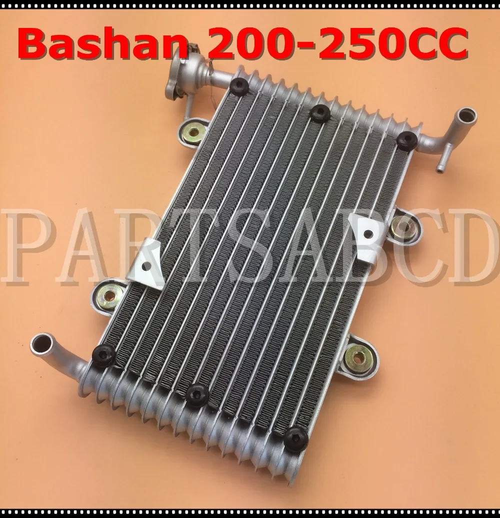 Bashan 200CC 250CC ATV Quad радиатор для Bashan 200-250CC ATV