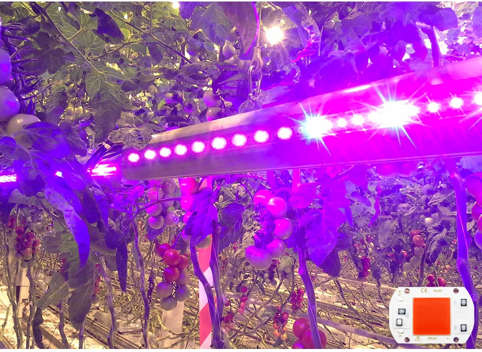 COB светодиодный Grow светильник полный спектр чип нет необходимости водитель AC 220V 20W 30W 50W травяной лампы для растений светильник Крытый рост рассады лампы