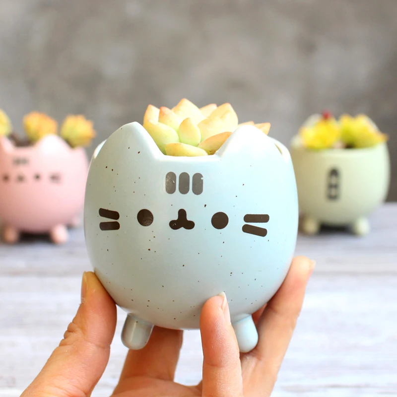 

Egg Shell Shape Flower Planter Plant Pot With Hole Flowerpot Lovely Little Home Garden Decor Bonsai Pots Birthday Gift