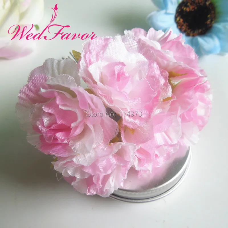 DSCN5812_