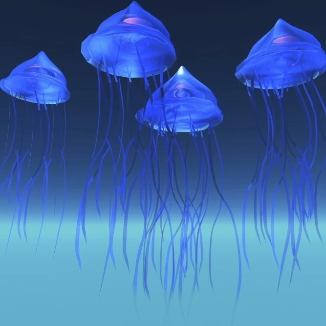 Iridescent glowing blue jeelyfish swim in the ocean Poster Print (17 x 11)