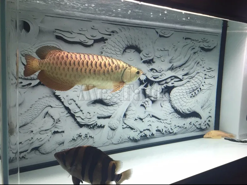 Mr. Tank HD аквариум фон плакат 3D эффект серый Дракон Камея ПВХ Наклейка на стену украшение