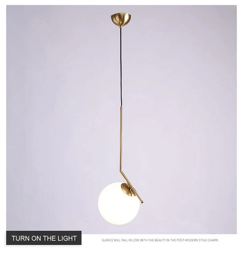 pendant lamp (12)