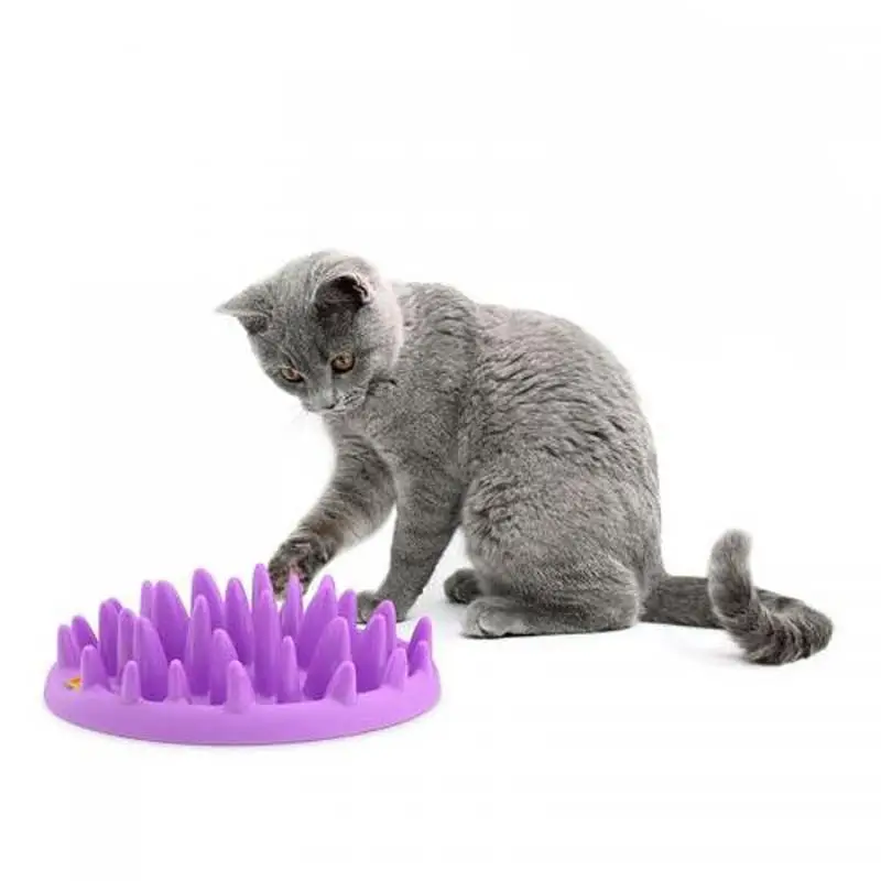 Cat Bowl Food Plastic Single Hard Kitten Feeding Bowls For Pet Cat