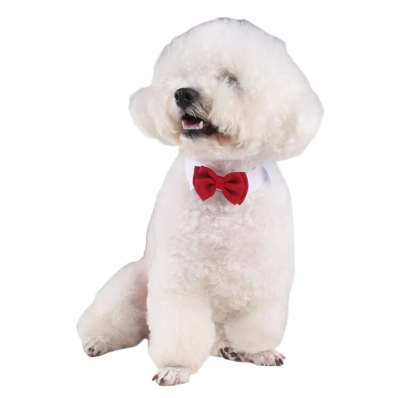 

2pcs Pet Cat Dog Bowknot Tie Kitten Collar Red Bow Knot Puppy Cat Multicolor Removable Necktie For Party Fashion Pet Accessories