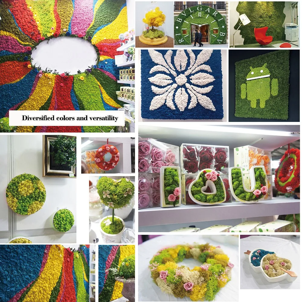 24 цвета, 500 г, Натуральные Искусственные консервированные мхи, настоящие растения для дома, сада, вечерние украшения, декор интерьера