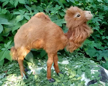 

simulation cute camel 38x34cm model polyethylene&furs camel model home decoration props ,model gift d427