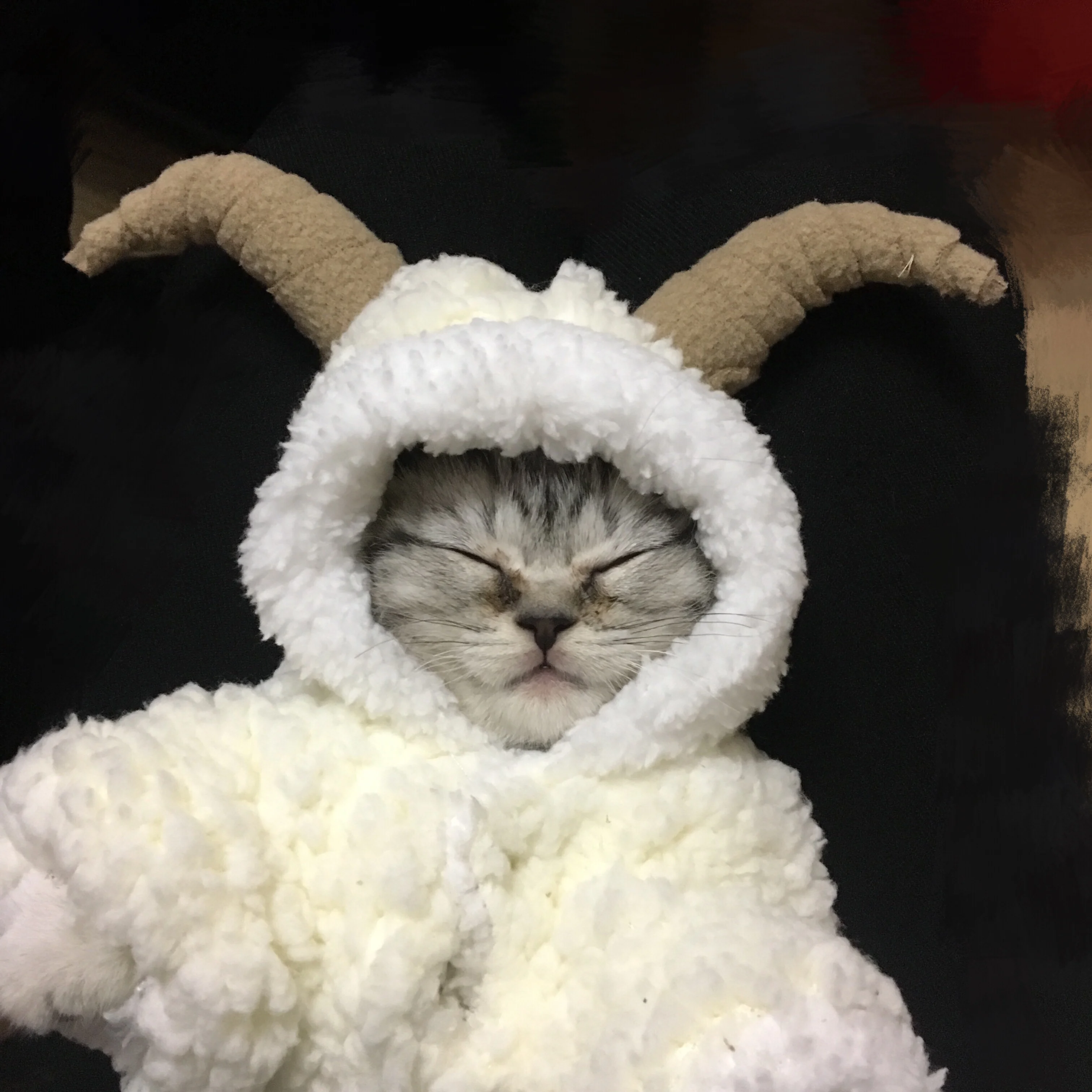 Милая овечья собака косплей одежда флис теплый маленький питомец пальто свитера с капюшоном Щенок Хэллоуин кошка костюм