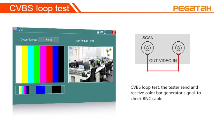 CVBS loop out- -BNC