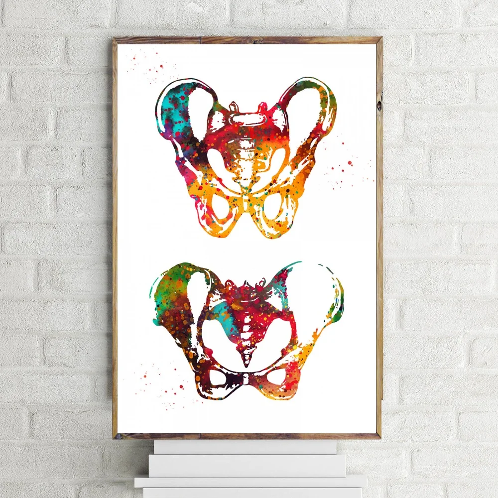 

Watercolor art Bones of the pelvis poster Canvas Art Print Wall Picture for Living Room No Frame