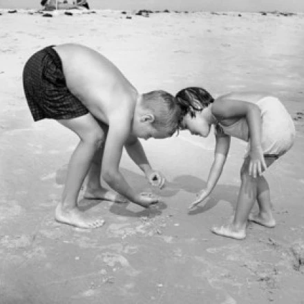 Boy with his sister collecting stones on the beach Poster Print (24 x 36)