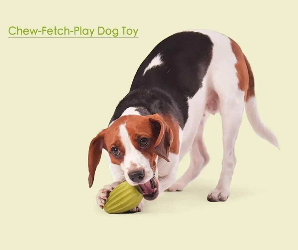 512m4hKKZYL._SL1000_