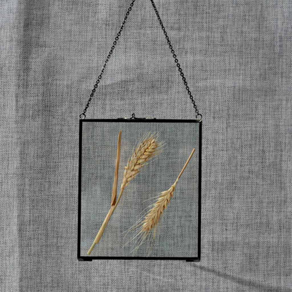 Glass Hanging Frames with Chain Rope, for Display Photos, Pictures, Artworks, Paintings, Posters