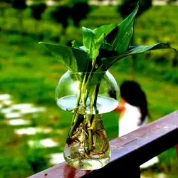 Стеклянная ваза в форме гриба стеклянная Террариум бутылка Декор Современные стильные украшения