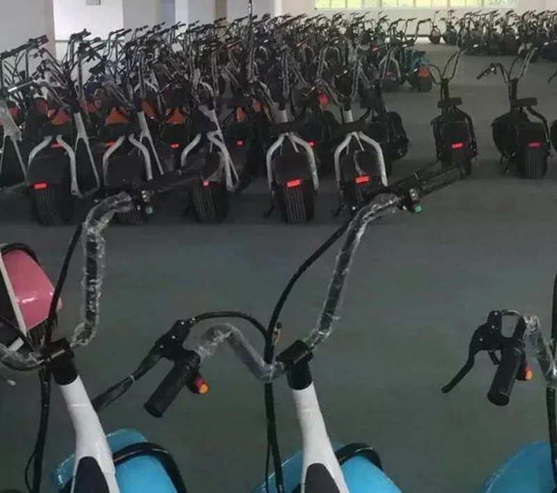 36020170830100526231