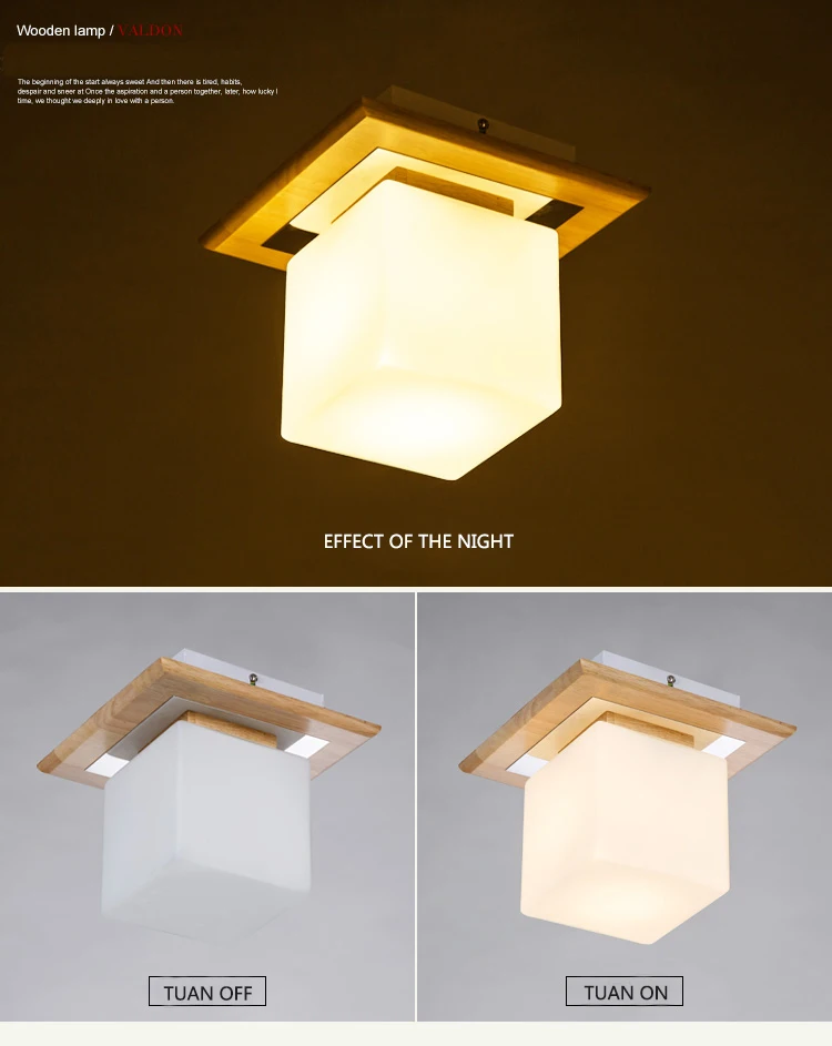 Ceiling Light Fixtures (8)