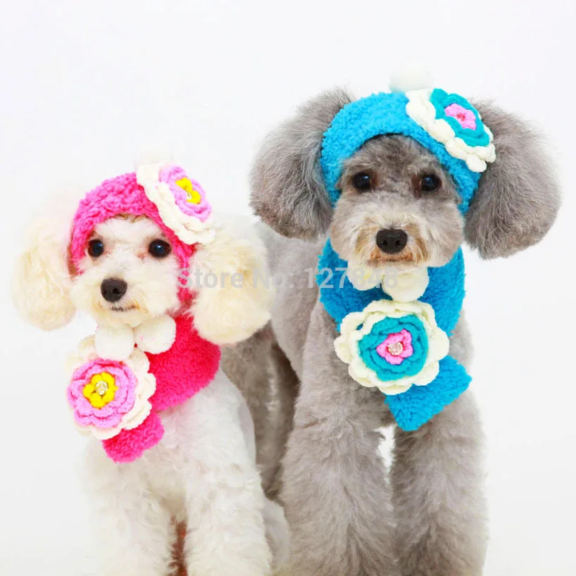 2015 Winter New Arrival Warm two piece hat scarf Dog accessries Super