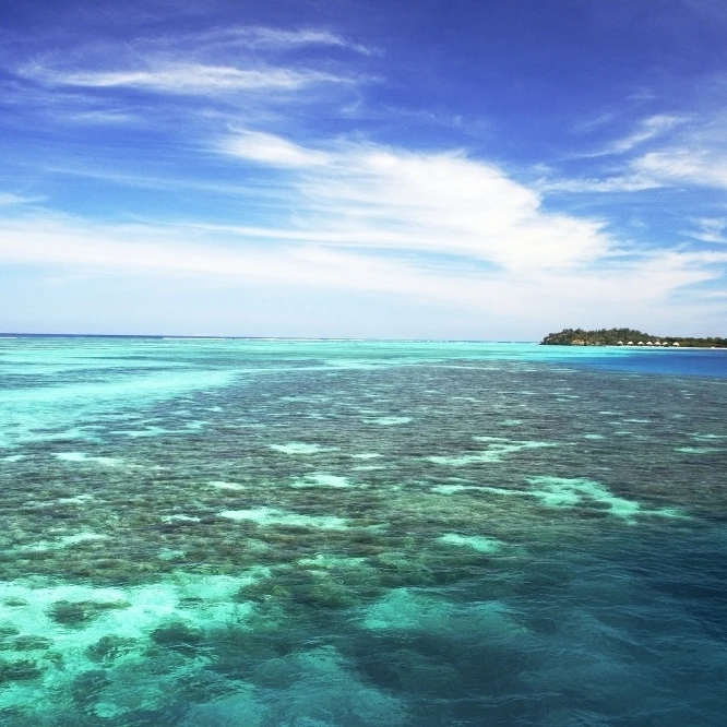 Fiji  View from ocean to Mana Island; Mamanuca Islands Poster Print (17 x 11)
