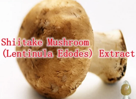 

3Bottles X Shiitake Mushroom(Lentinula Edodes) Extract 30% Polysaccharide500mg 270counts Free shipping